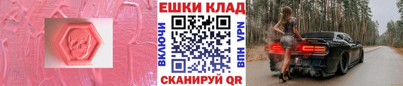 Ecstasy Philipp Plein  Михайлов 