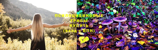 ECSTASY Волосово