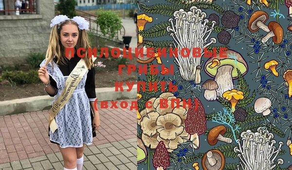 шишки Волоколамск