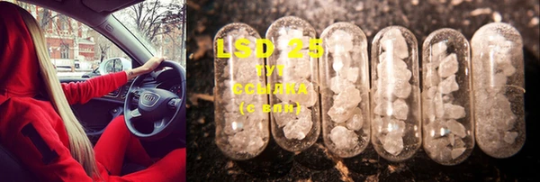 ECSTASY Волосово