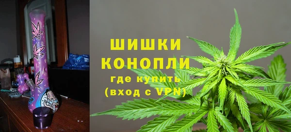 ГАЛЛЮЦИНОГЕННЫЕ ГРИБЫ Володарск