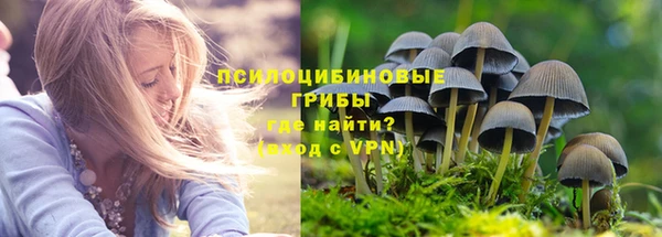 ГАЛЛЮЦИНОГЕННЫЕ ГРИБЫ Володарск