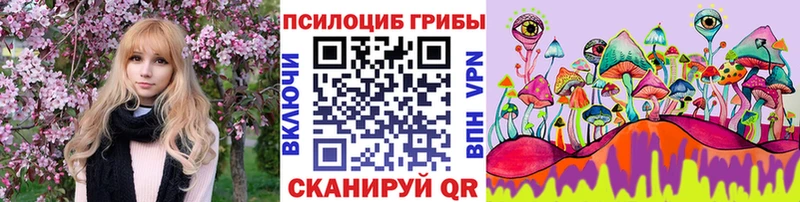 купить наркоту  Михайлов  Псилоцибиновые грибы ЛСД 